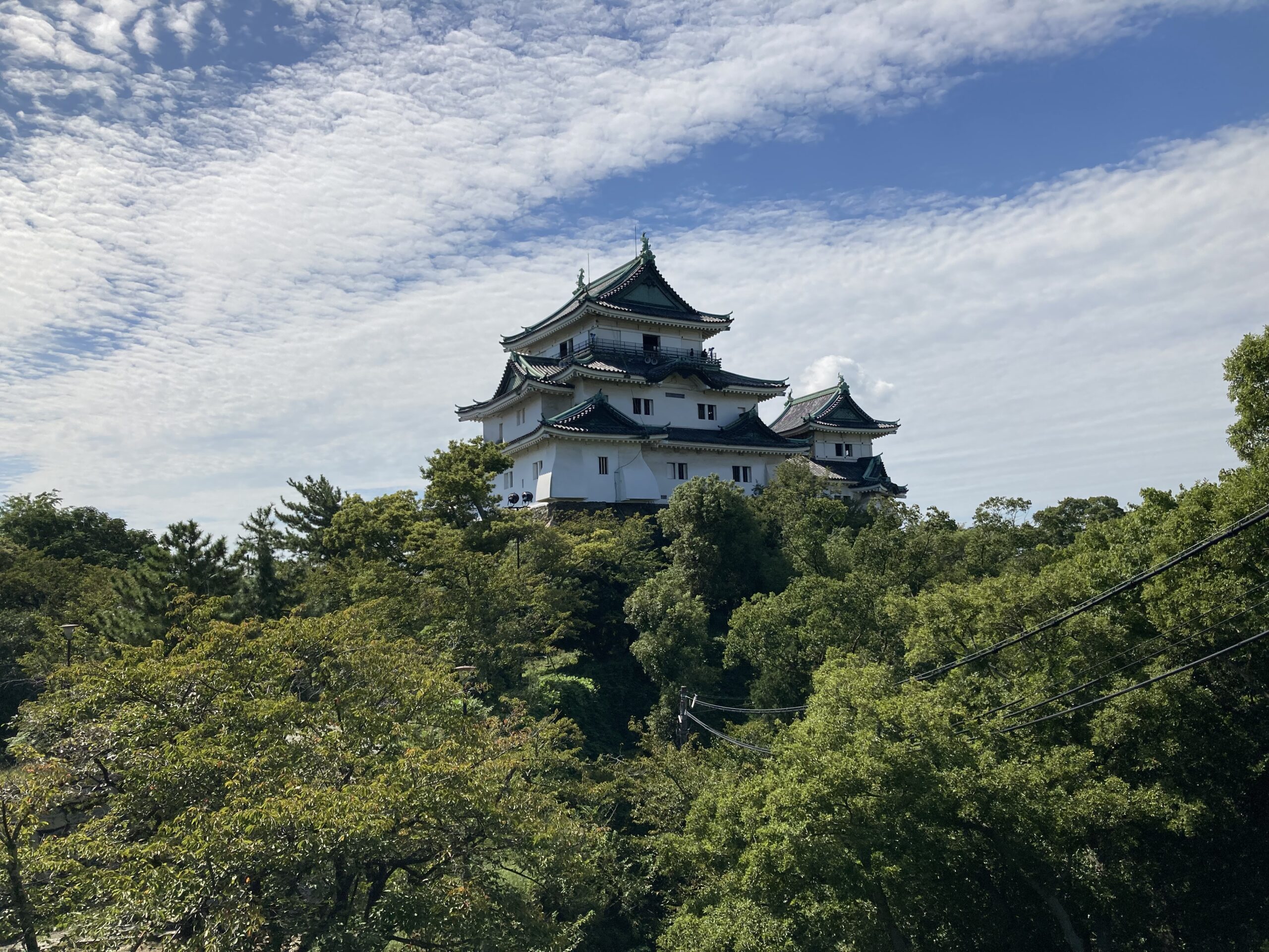 和歌山城を散策し、城下町で食べる・作る・学ぶツアー