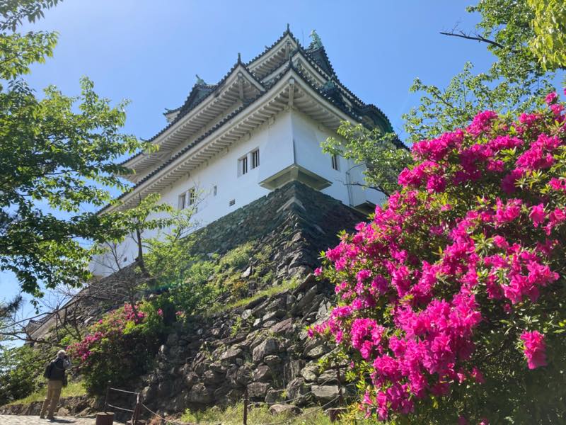 和歌山城の唯一無二の魅力と風流を愛したお殿様・第10代藩主治宝（はるとみ）公
